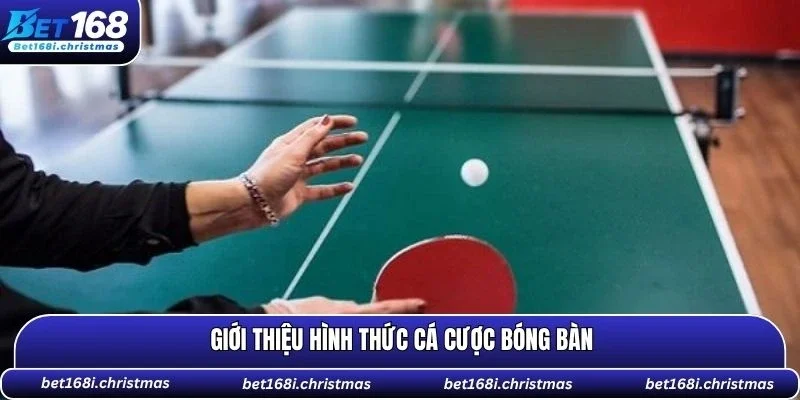 Thông tin cá cược bóng bàn