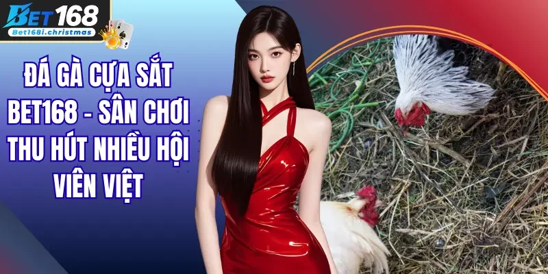 Đá Gà Cựa Sắt Bet168 - Sân Chơi Thu Hút Nhiều Hội Viên Việt
