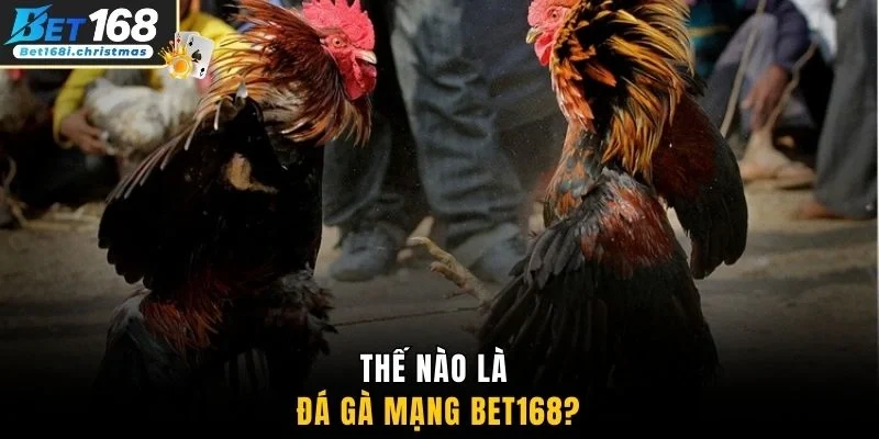 Thế nào là đá gà mạng BET168?