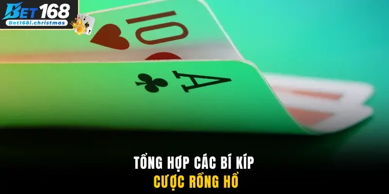 Tổng hợp các bí kíp cược Rồng Hổ
